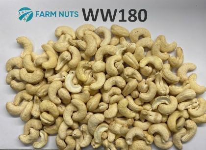 Cashew kernel W180
