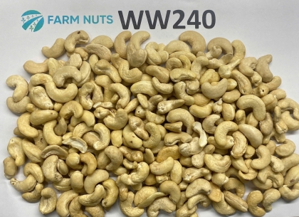 Cashew kernel WW240
