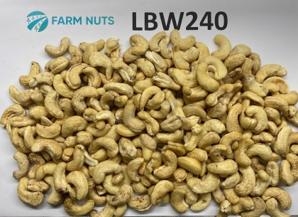 Cashew kernel LBW 240